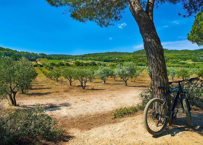 Apartman Comete - Echappee Douce A Mandrier