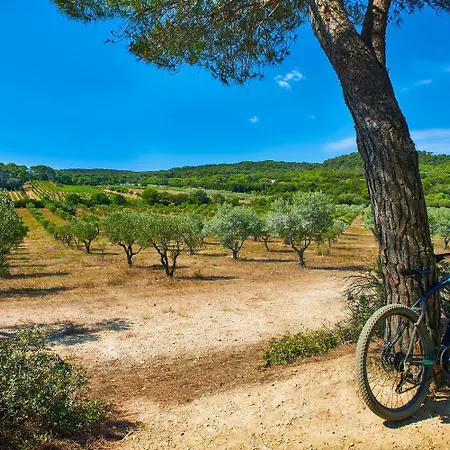 شقة Comete - Echappee Douce A Mandrier